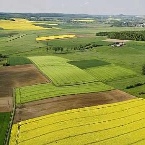 Offres de vente Propriété Agricoles Bourges 18000