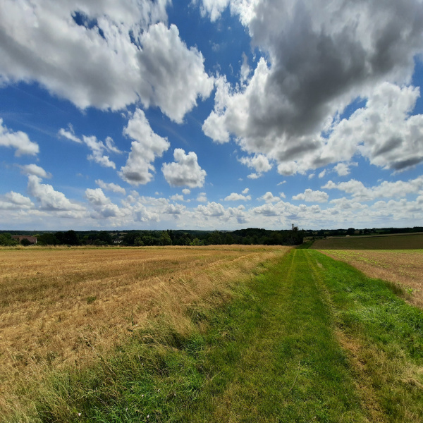 Offres de vente Propriété Agricoles Anjouin 36210