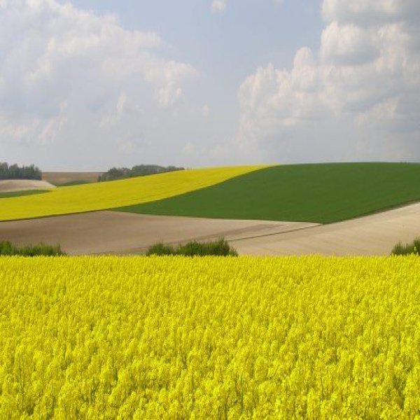 Offres de vente Propriété Agricoles Guilly 36150